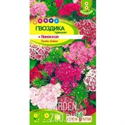 Гвоздика Пиноккио 0,1гр - фото 34875