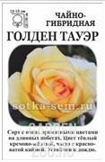 Роза Голден Тауэр - фото 35173