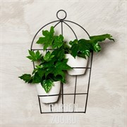 Подставка настенная Клетка на 2 цветка 12см большая металл 15-827 - фото 35330 Подставка настенная Клетка на 2 цветка 12см большая металл 15-827 - фото 35330