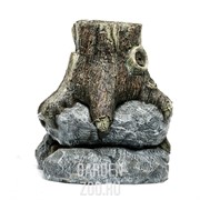 Фонтан Пень большой - фото 35475