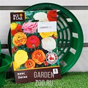 Лютик Микс (8) - фото 35610