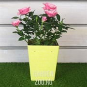 Коробка для цветов 9,3*12*15см - фото 35651