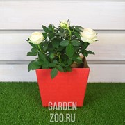 Коробка для цветов 11,8*15,4*12,5см - фото 35653