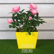 Коробка для цветов 11,8*15,4*12,5см - фото 35654