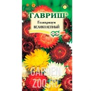 Гелихризум Великолепный смесь 0,1гр - фото 36669