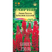 Люпин Красное пламя 0,5гр - фото 37332