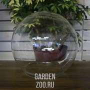 Аквариум-шар 20,3 л 1801 - фото 37619