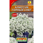 Алиссум Горный снег - фото 37761