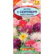 Астра 1 сентября смесь - фото 37771