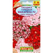 Гвоздика турецкая Макарена F2 смесь - фото 38038