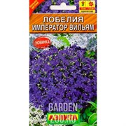 Лобелия Император Вильям - фото 38277