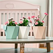 Кашпо НЕСА 105 95*12 10см розовый - фото 38339