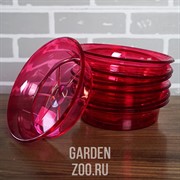 Поддон малиново-прозрачный 16см - фото 39164