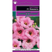 Эустома Нежность 4шт - фото 39451