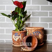 Набор горшков РЫБКИ 3шт - фото 39719