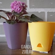 Горшок Амстердам 11см 0,65л с прикорн.поливом морозная слива - фото 39782