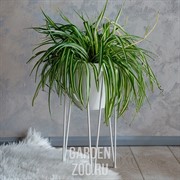 Подставка для цветов металлическая напольная Лофт высота 46см 66-408 - фото 39917