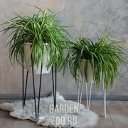 Подставка для цветов металлическая напольная Лофт высота 46см 66-408 - фото 39918