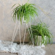 Цветочница напольная Лофт белая металл высота 73см 66-419 - фото 39943