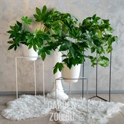 Подставка для цветов Лофт металл 66-422 - фото 39949