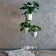 Цветочница кованая для цветов металл Лофт на 3 цветка белая 66-425 - фото 39951 Цветочница кованая для цветов металл Лофт на 3 цветка белая 66-425 - фото 39951