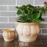 Горшки для цветов ПАТИССОН №3 0,5л - фото 40034