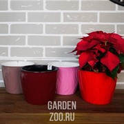 Кашпо Венеция 3л пунш - фото 40238