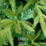 Елка Кастель искусственная 120см - фото 40301