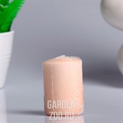 Свеча ароматическая 4х6см корица - фото 40350