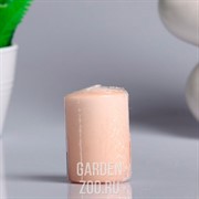 Свеча ароматическая 4х6см французская ваниль - фото 40352