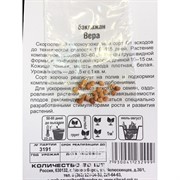 Баклажан Вера 20 шт - фото 40399