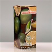 Свеча ароматическая 4х6см лайм - фото 40725