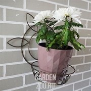 Подставка настенная на 1 цветок - фото 40836