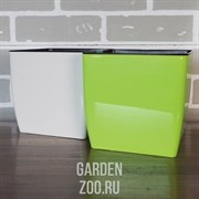 Горшок КВАДРО низкий 16*16*15,5 белая роза - фото 41027