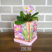 Горшок Кубик кор 12см - фото 41104