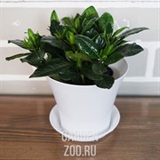 Горшок Сити 0,7л белый - фото 41177