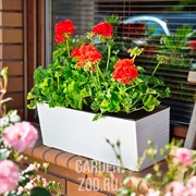 Ящик балконный БЕГОНИЯ 19*56*19.5 джуто белый - фото 41201