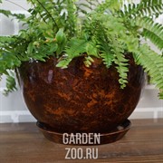 Горшки для цветов КАМЕЛИЯ №1 - фото 41416