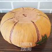 Кашпо Тыква большая 12см 3,5л - фото 41485