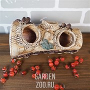 Грот Сомятник - фото 41659