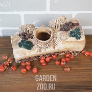 Грот Сомятник - фото 41661