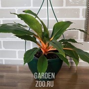 Горшок ЛИЛИЯ подвесная 2,5л зеленый - фото 41797