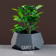 Кашпо ТЕХНО 0,22л антрацит - фото 42018