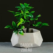 Кашпо ТЕХНО 0,22л серый - фото 42022