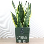 Горшок Квадро 3,3л нефрит с вкладкой - фото 42199 Горшок Квадро 3,3л нефрит с вкладкой - фото 42199