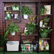 Прихожая кованая с деревянными полками в стиле Лофт 66-705 - фото 42242