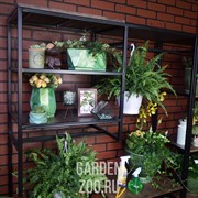 Прихожая кованая с деревянными полками в стиле Лофт 66-705 - фото 42243