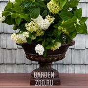 Вазон для цветов малый под бронзу US07928 - фото 42272