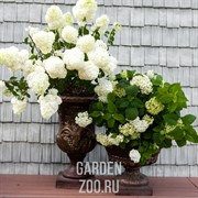 Вазон для цветов малый под бронзу US07928 - фото 42273