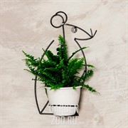 Подставка 15-834 настенная Крыса на 1 цветок - фото 42732 Подставка 15-834 настенная Крыса на 1 цветок - фото 42732